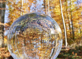 018 - im spätherbst in muttenz